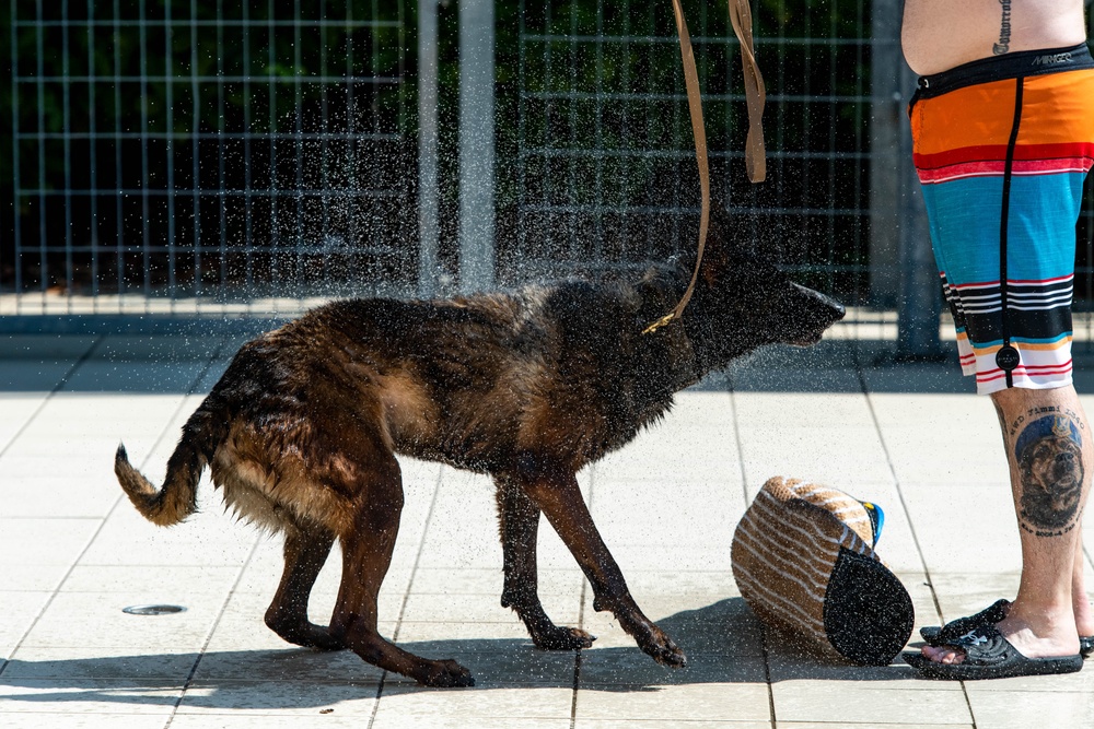 MWD Water Training