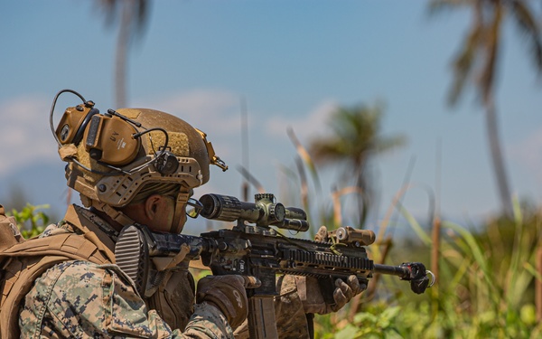 Marine Amphibious Assault