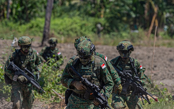 Marine Amphibious Assault