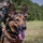 Quantico's MWDs conduct range training