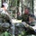 Cavalry scout advanced leader course field training