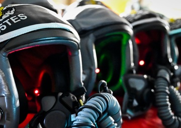 F-15 human performance