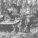 America’s First Corps: A Legacy of Valor in New Guinea during the World War II Pacific Campaign