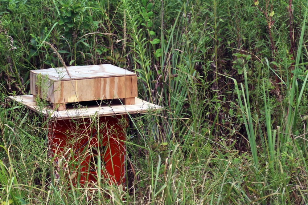 Collaborative conservation efforts and the future of a vulnerable beetle