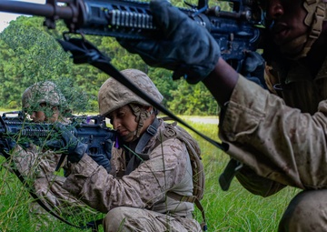 From Pinks &amp; Greens to Dress Blues