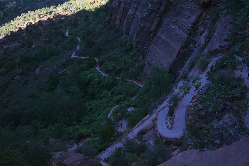 Wyoming Wanderers: Zion National Park