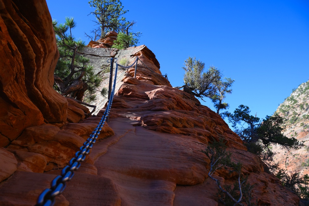 Wyoming Wanderers: Zion National Park