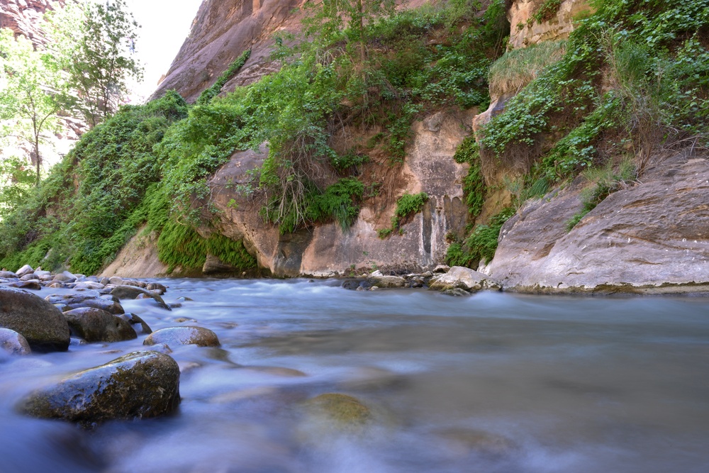 Wyoming Wanderers: Zion National Park