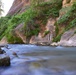 Wyoming Wanderers: Zion National Park