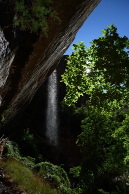 Wyoming Wanderers: Zion National Park