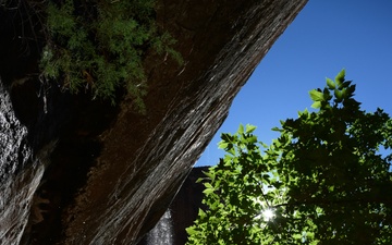 Wyoming Wanderers: Zion National Park