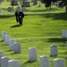 Military Funeral Honors with Funeral Escort are Conducted for U.S. Army Chaplain (1st Lt.) George Fox