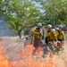 Beale AFB Prescribed Burn