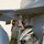 Indo-Pacific rotational Forces strengthen operations in India