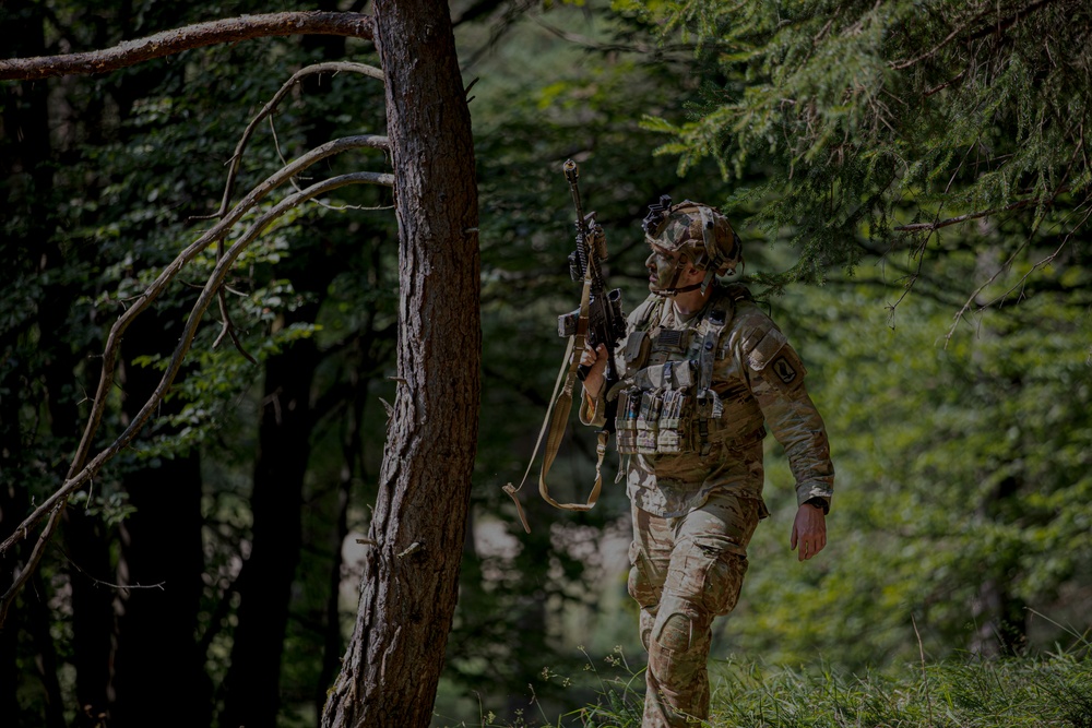 U.S. Soldiers train at Saber Junction