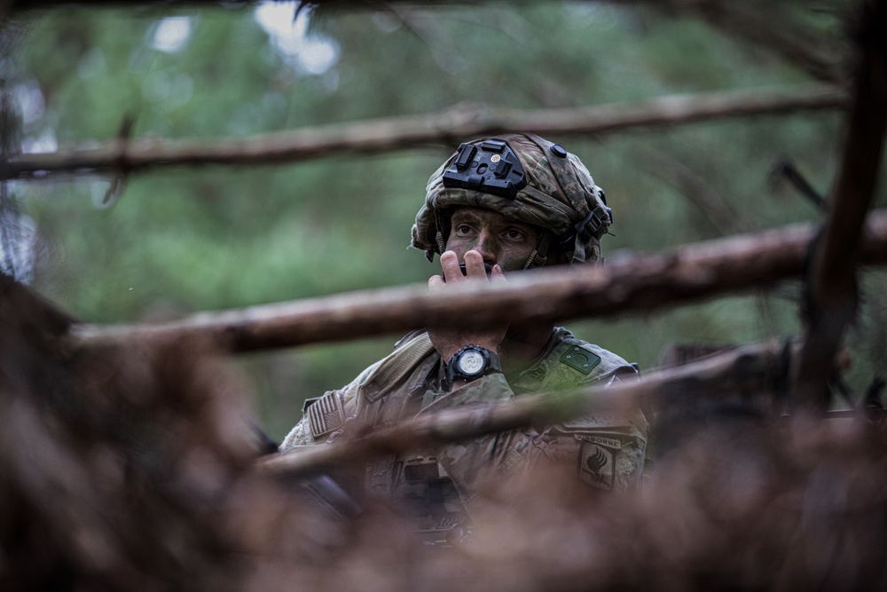 U.S. Soldiers train at Saber Junction