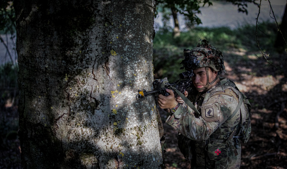 U.S. Soldiers train at Saber Junction