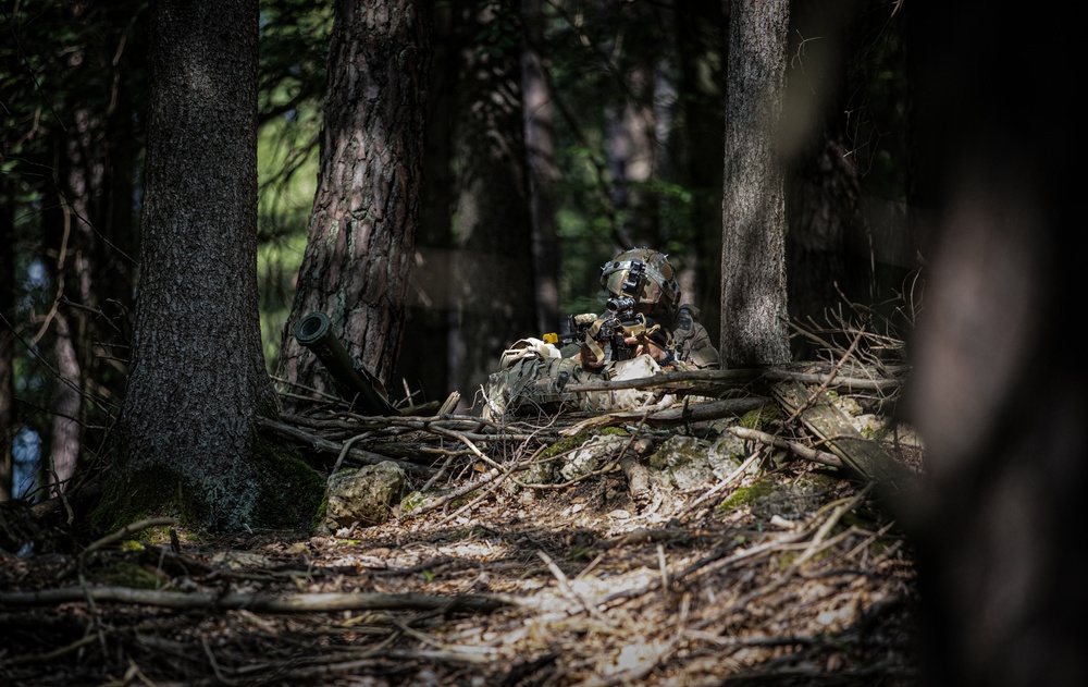 U.S. Soldiers train at Saber Junction