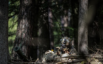 U.S. Soldiers train at Saber Junction