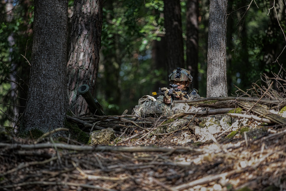 U.S. Soldiers train at Saber Junction