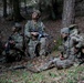 U.S. Soldiers train at Saber Junction