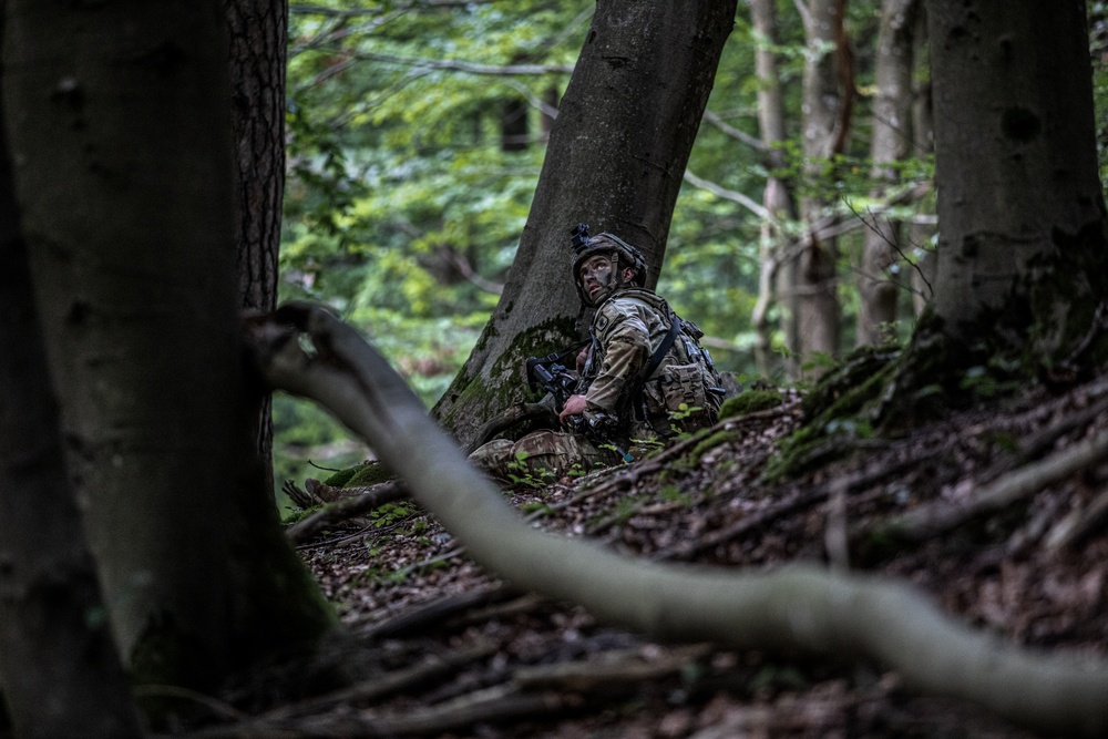 U.S. Soldiers train at Saber Junction