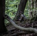 U.S. Soldiers train at Saber Junction