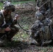 U.S. Soldiers train at Saber Junction