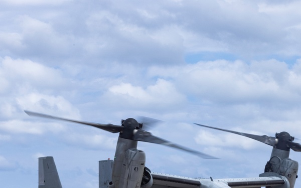 SY 24 | BLT 1/4 arrives for Ssang Yong 24