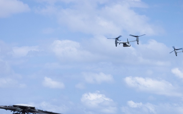 SY 24 | BLT 1/4 arrives for Ssang Yong 24