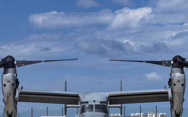 SY 24 | BLT 1/4 arrives for Ssang Yong 24