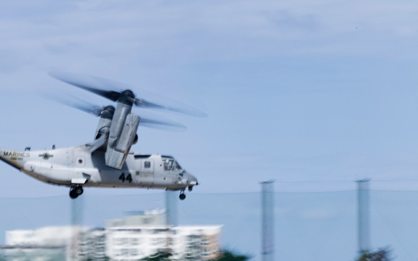 SY 24 | BLT 1/4 arrives for Ssang Yong 24