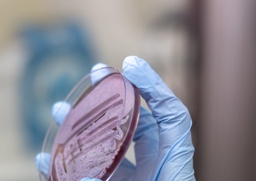 MRF-D 24.3: U.S. Navy medical personnel visit the Menzies School of Health Research