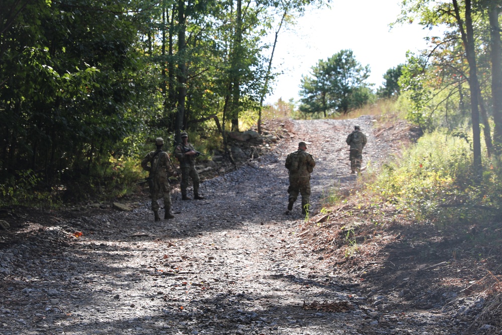 Sapper Stake Training