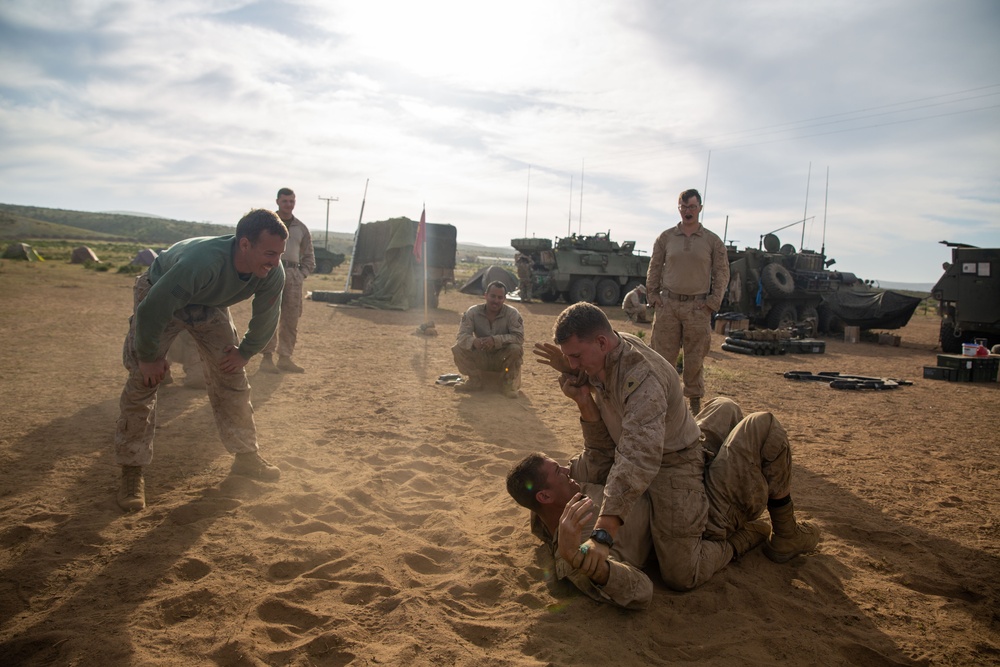 U.S. and Chilean Marines Conduct MCMAP