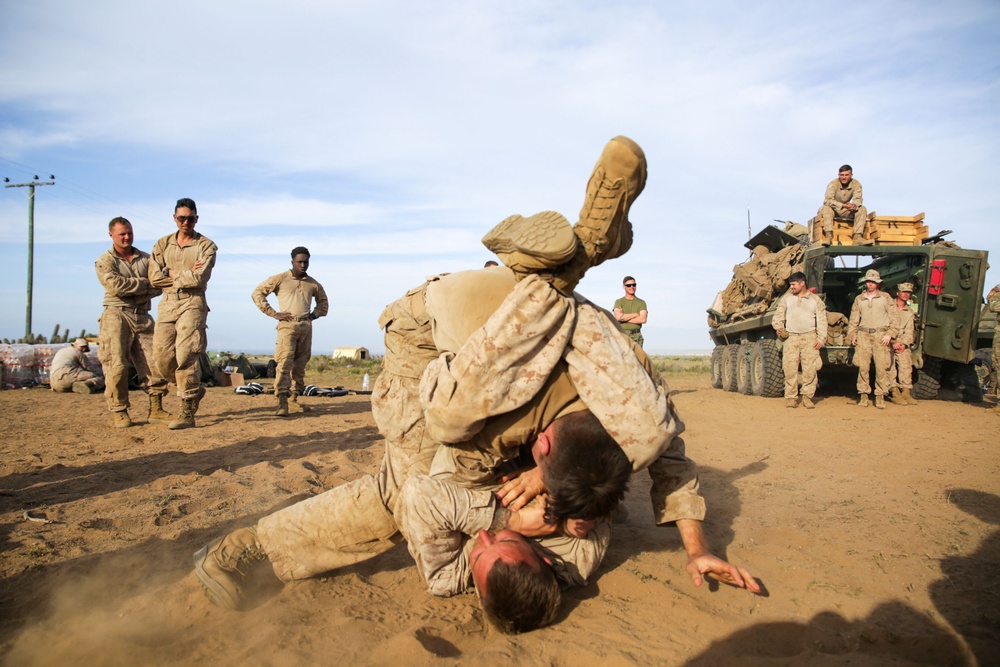 U.S. and Chilean Marines Conduct MCMAP