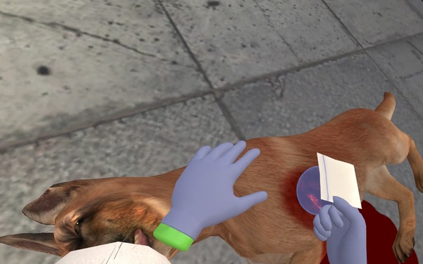 In the Virtual Trenches: Advancing Military Nursing Preparedness with VR