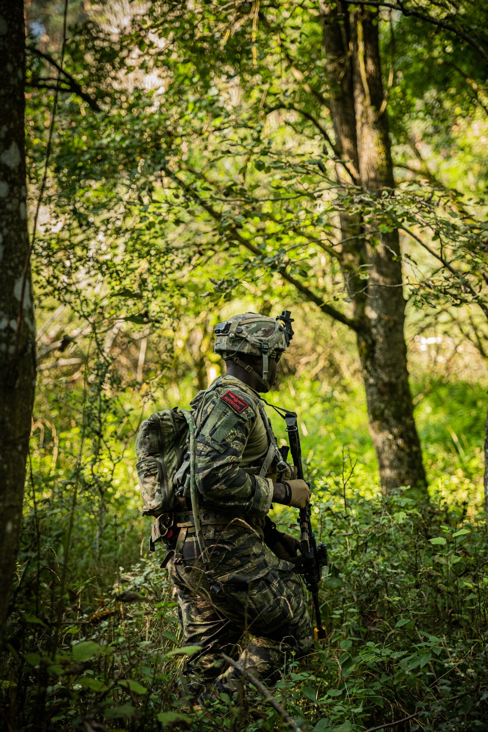 Opposing forces patrol during Saber Junction exercise