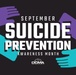 Suicide awareness, prevention remains DCMA priority