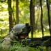 Opposing forces patrol during Saber Junction exercise