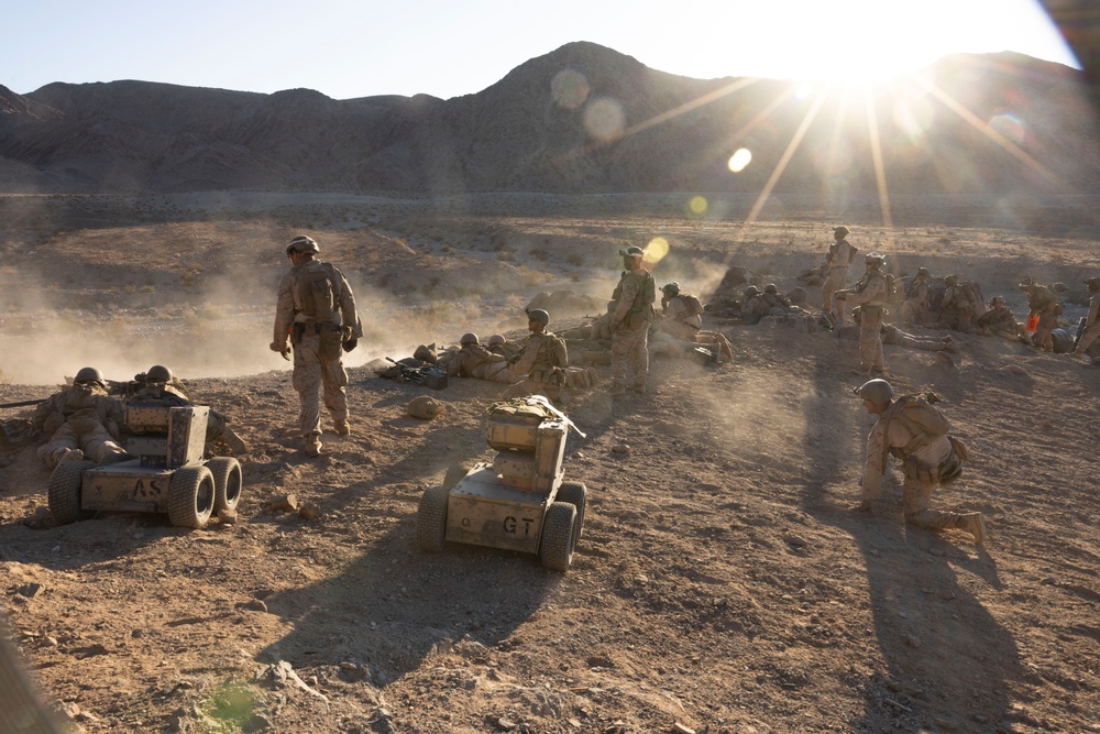 2nd Bn., 4th Marines conducts company-sized fire, maneuver exercises