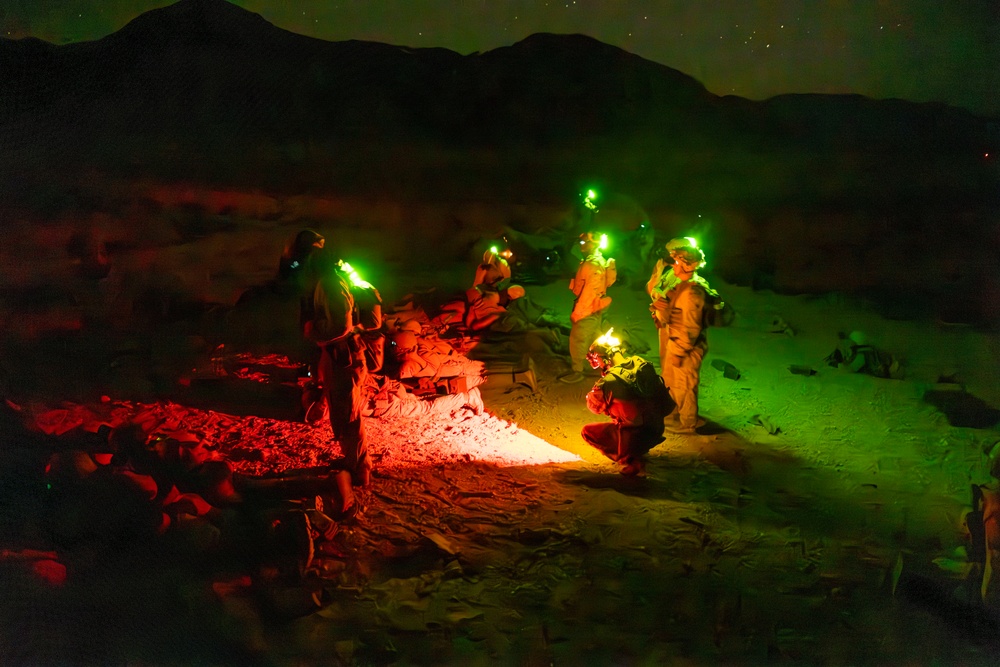 2nd Bn., 4th Marines conducts company-sized fire, maneuver exercises