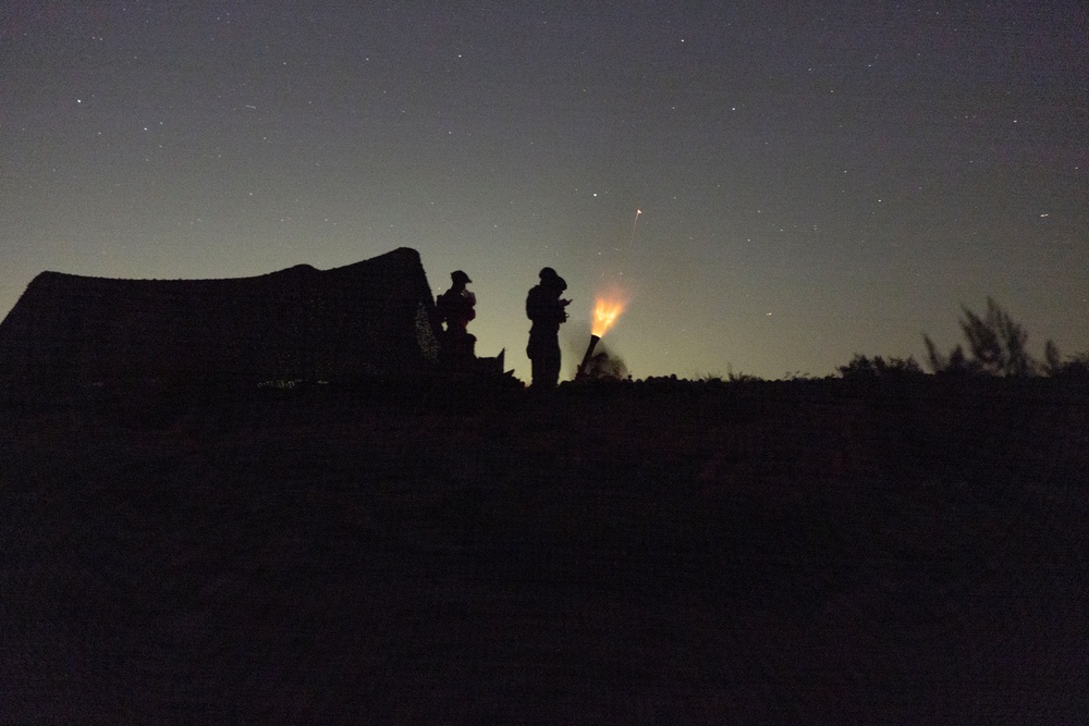 2nd Bn., 4th Marines conducts company-sized fire, maneuver exercises