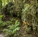 MRF-D 24.3: CLB-5 (Rein.) Marines, ADF service members remove explosive remnants of war during Operation Render Safe 2024-2