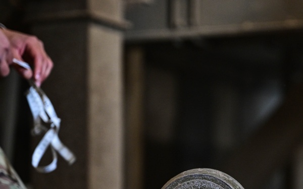 EOD Silent Viking 24