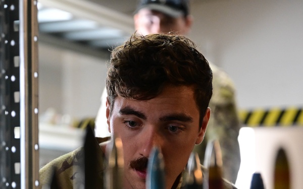 EOD Silent Viking 24