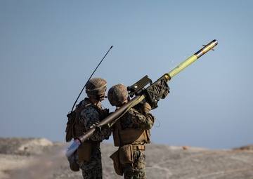 2nd LAAD Stinger Missile Live-fire Sweden