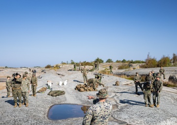 2nd LAAD Stinger Missile Live-fire Sweden