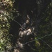 2nd Distribution Support Battalion Endurance Course