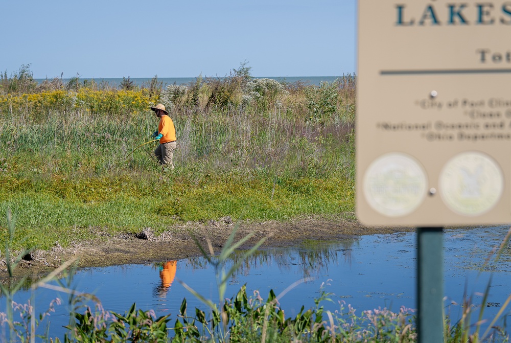 Port Clinton, Ohio Invasive Plant Treatment